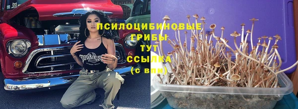 стаф Михайлов